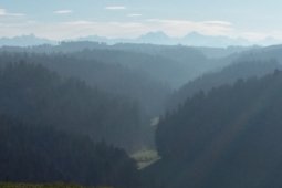 Bergklub: Wiliberg (685 m.ü.M.)
