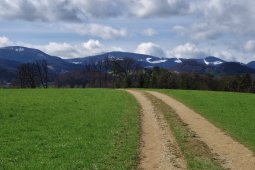 Bergklub: Murenberg (531 m.ü.M.)