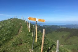 Bergklub: Col de Lyss (1783 m.ü.M.)